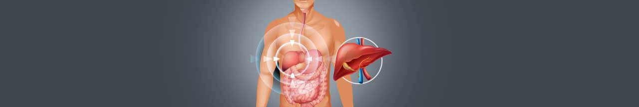 know more about liver transplant in india treatment possible
