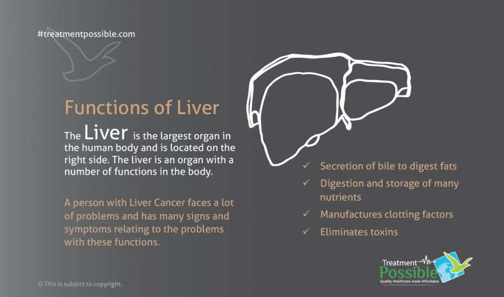 about liver cancer